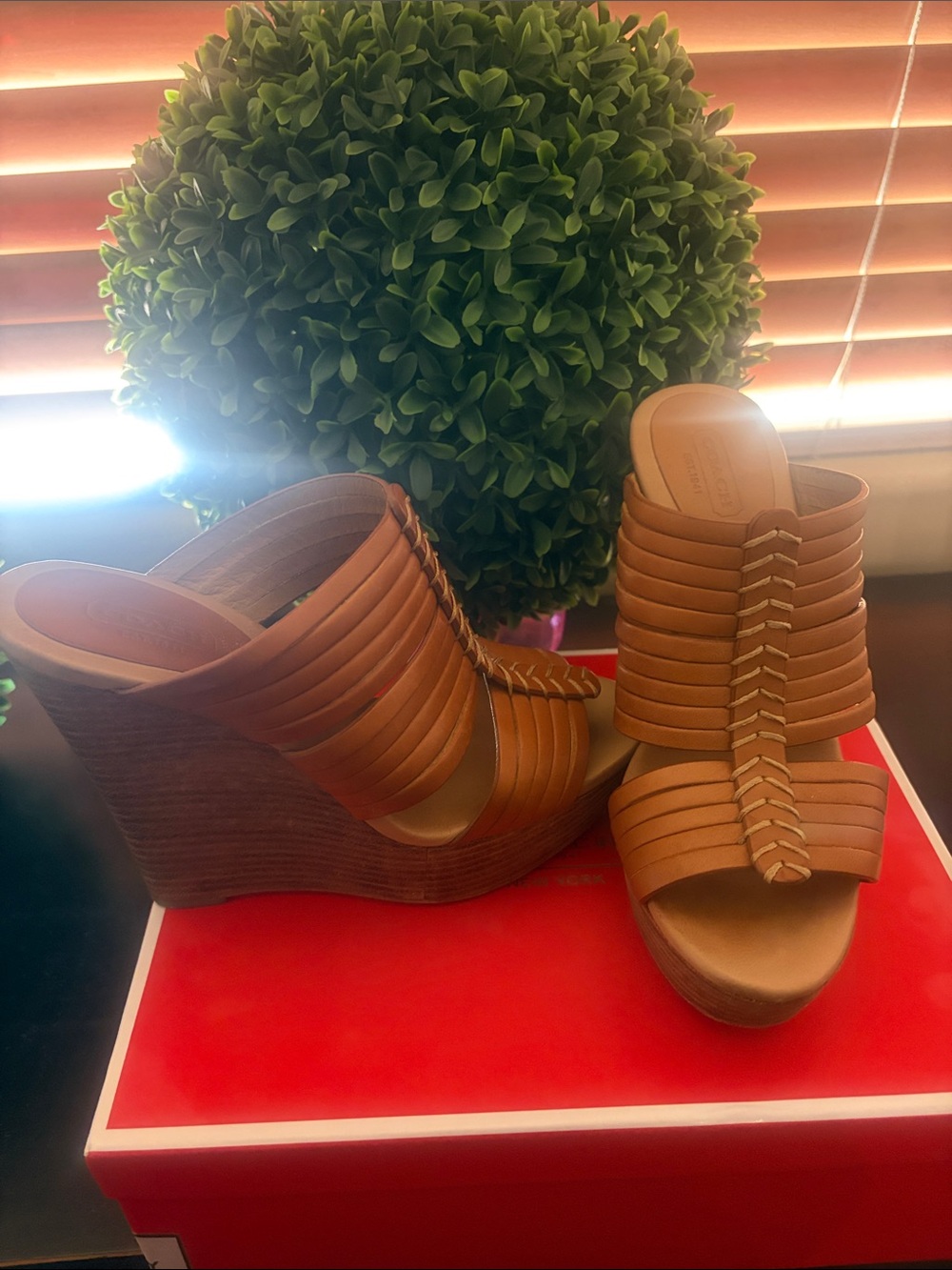 Coach Bristol in Ginger 6.5